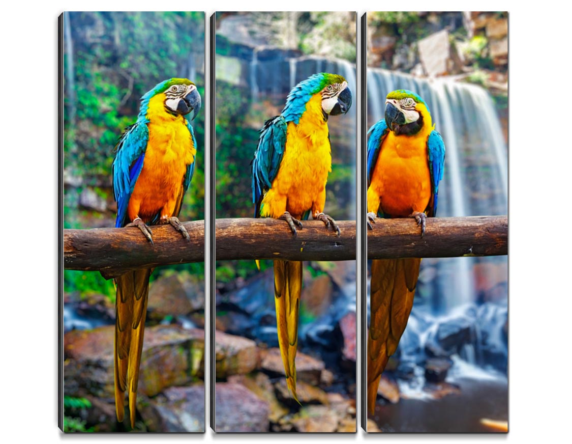 Blue and Gold Macaw against Tropical Waterfall | Hashtagdecor